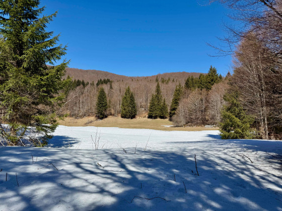 Prairie de Ganasse