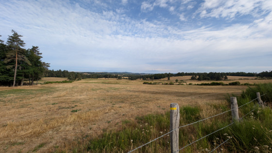 Prairie de l'Aubrac