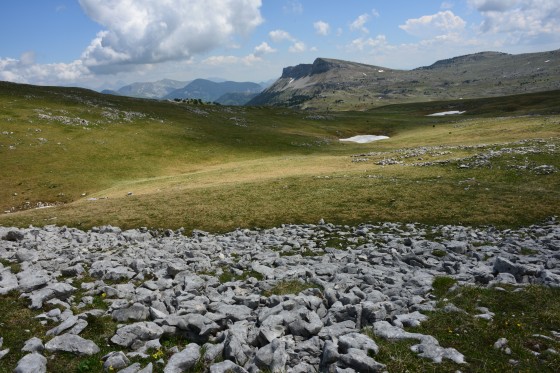 Prairie du plateau de Chamousset