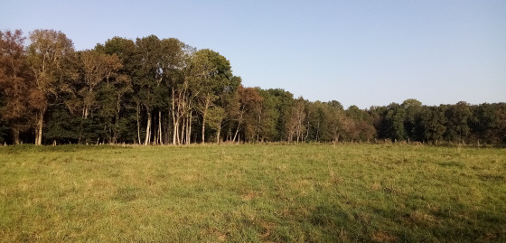 Prairie et bois