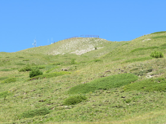 Prairie hors sentier
