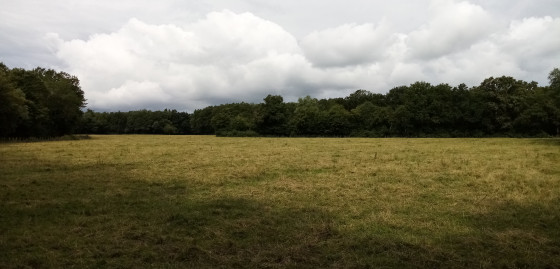 Prairie