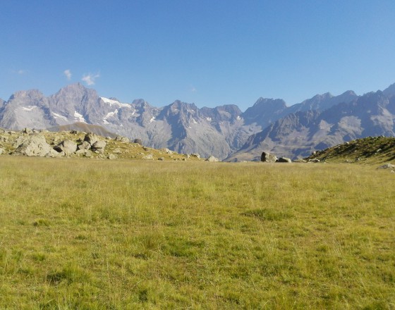 Prairie