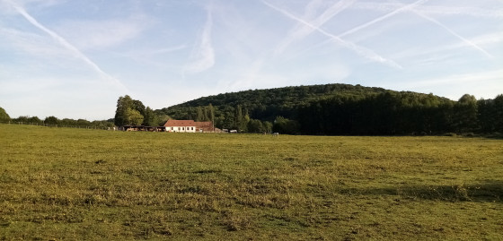 Prairie