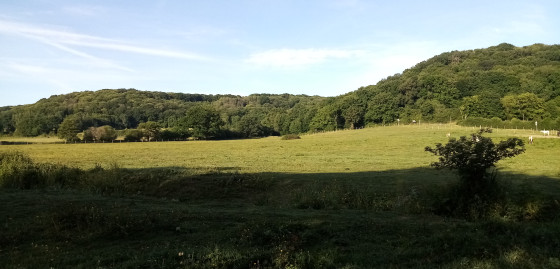 Prairie