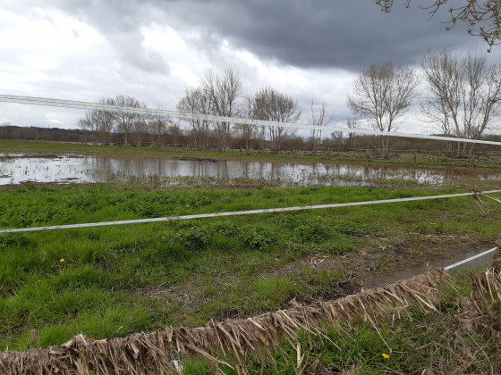 Prairies inondables