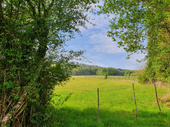 Prairie