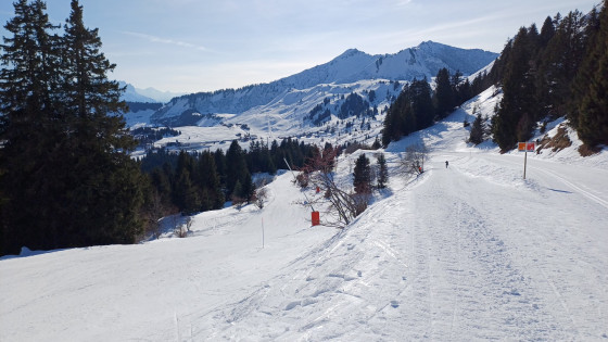 Praz de Lys
