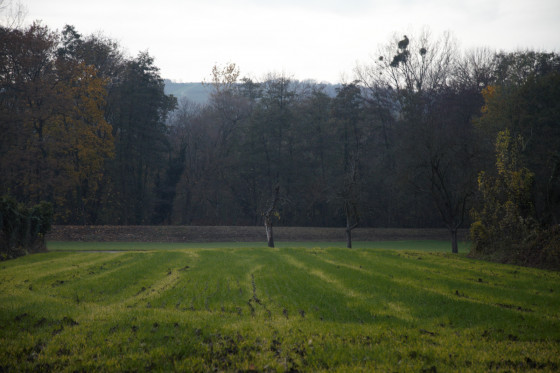 Pré