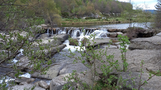 Premier barrage sur le Tarn