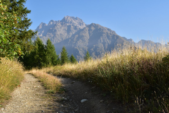 Premier chemin