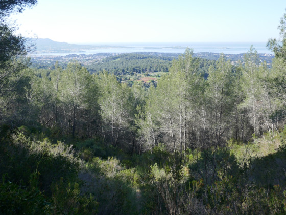 Premier panorama