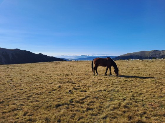 Premier plateau de la randonnée