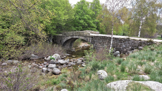 Premier pont sur le Tarn