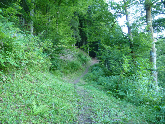 Première montée