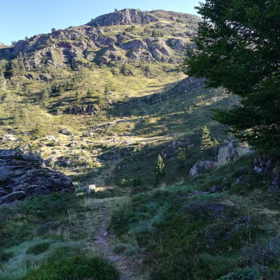 Première montée
