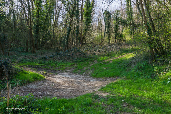 Première montée