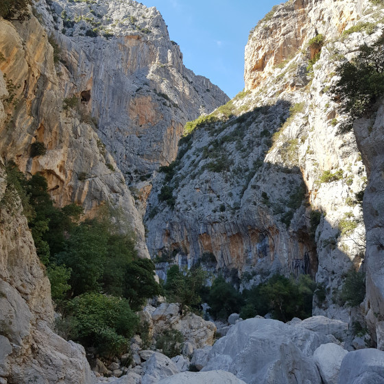 Premiers pas dans le canyon