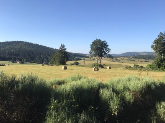 Pr&eacute;s &agrave; perte de vue