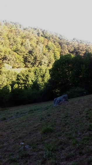 Près à traverser