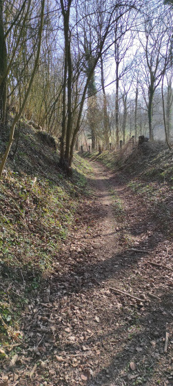 Près d' Hestrus