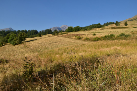 Prés de fauche