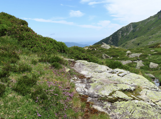Près de l\'étang bleu
