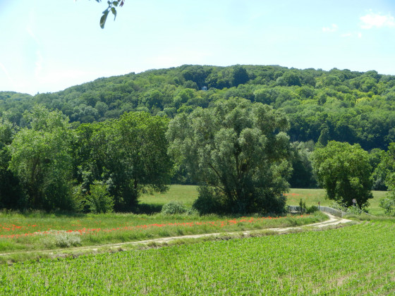 Près de la ferme de Flicourt