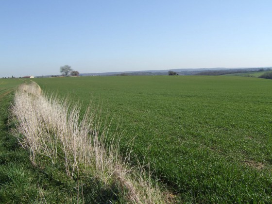 Près de Montainville