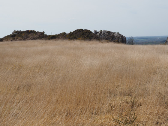 Près de Roc\'h Trevezel