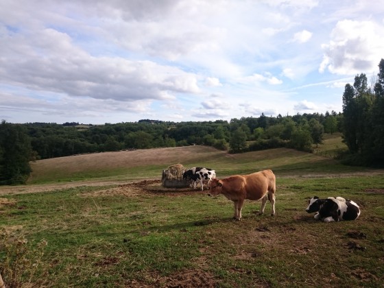 Pr&egrave;s du chateau du Haut Poirier