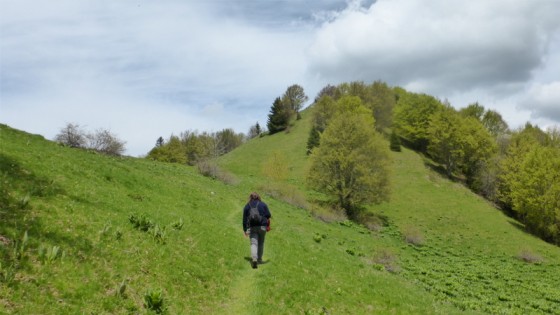 Près du Col de la Buffaz.