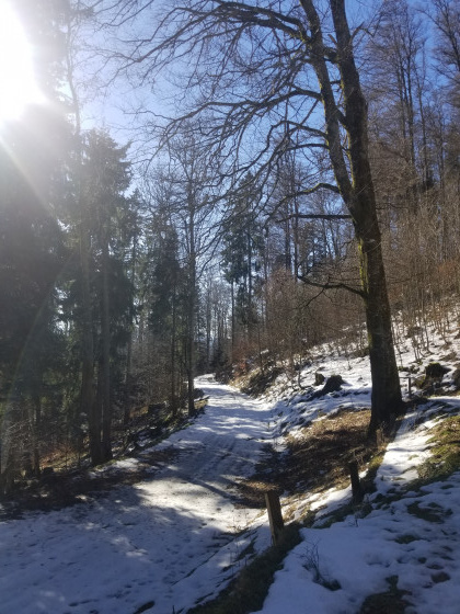 pr&eacute;s du refuge robinot....