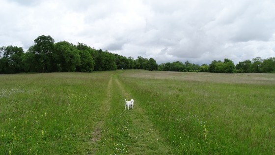 Pr&eacute;s du site archeologique