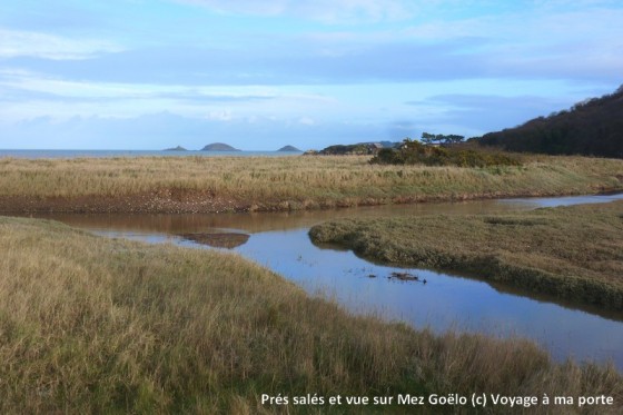 Pr&eacute;s sal&eacute;s et vue sur le Mez Go&euml;lo