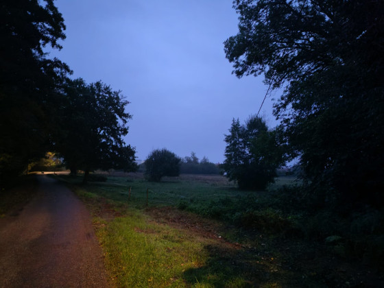 Prés