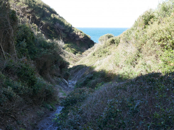 Presque arrivés à la crique Presque arrivés à la crique