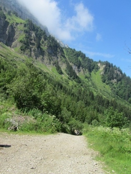 Presque au sommet