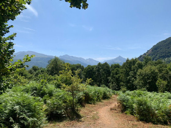 Presque au sommet