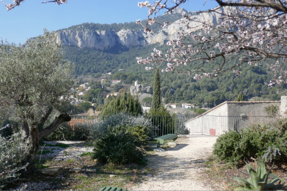 Printemps sur le Revest