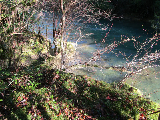 Proche de la berge