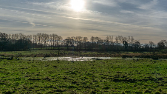 Projet &laquo; Paysage de prairies de la vall&eacute;e de la Schwentine &raquo;