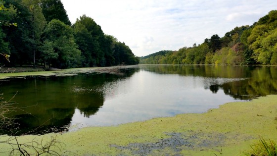 Promenade autour de l'Etang St Nicolas à Angers