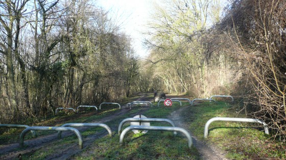 Promenade de la Dhuis