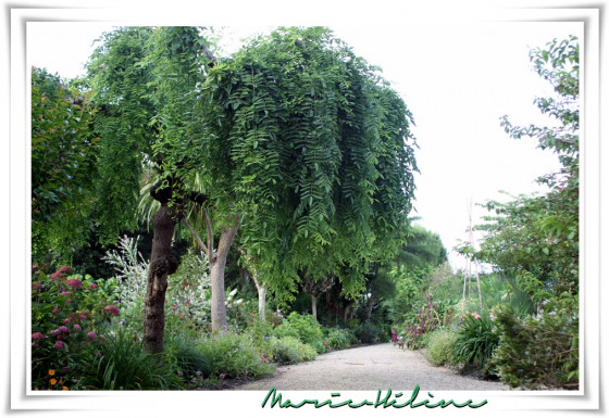 Promenade fleurie