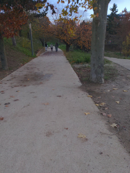 Promenade près du Lac