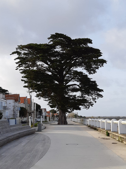 Promenade sur la petite plage