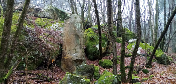 Pseudo-menhir