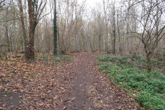 Ptit sentier