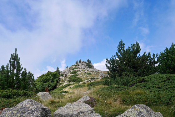 Puig dels Sarraïns